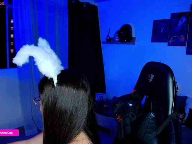 Nicorobin webcam