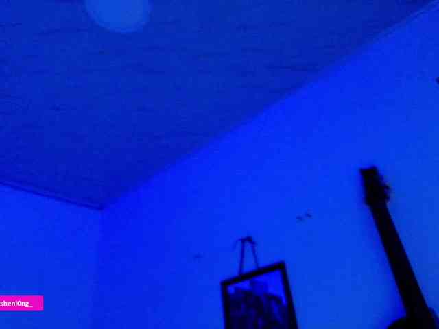 Nicorobin webcam