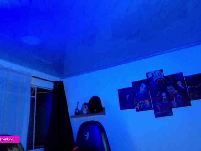 Nicorobin webcam