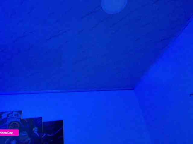 Nicorobin webcam