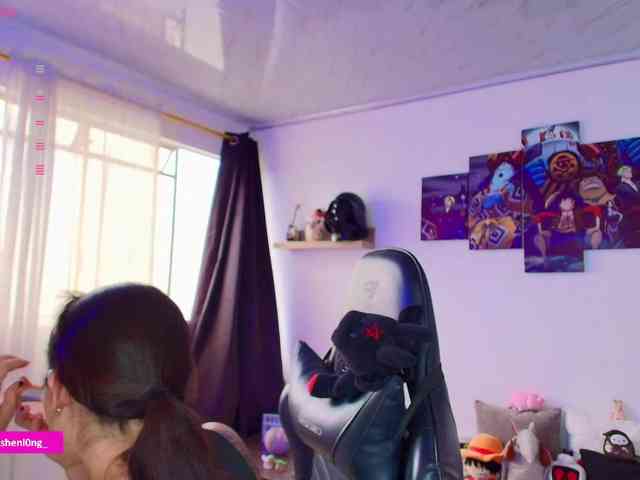 Nicorobin webcam