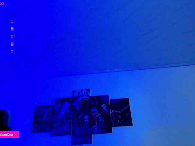 Nicorobin webcam