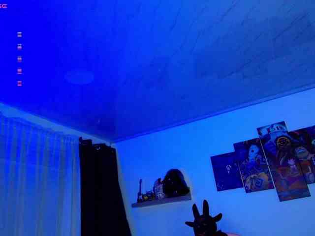 Nicorobin webcam