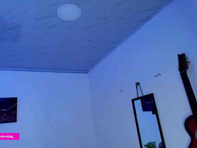 Nicorobin webcam