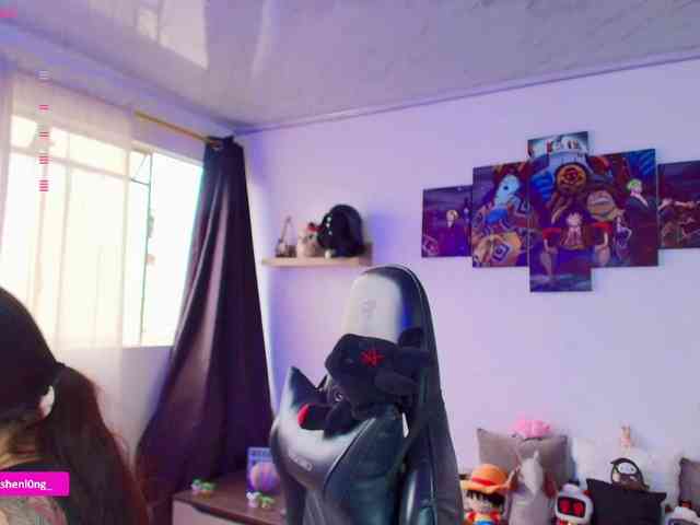 Nicorobin webcam
