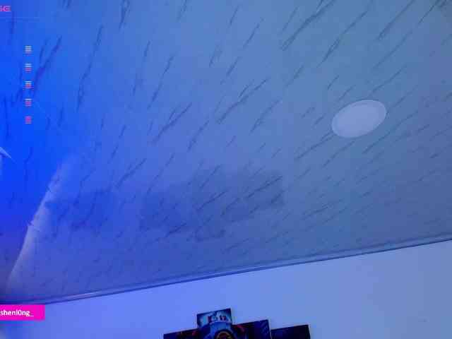 Nicorobin webcam