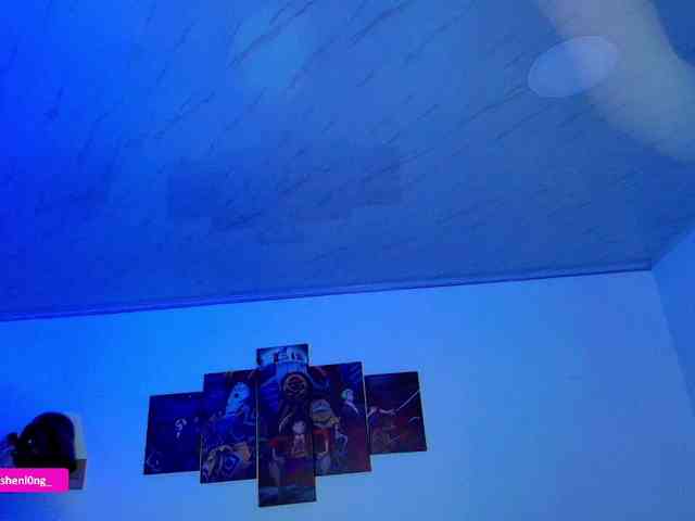 Nicorobin webcam