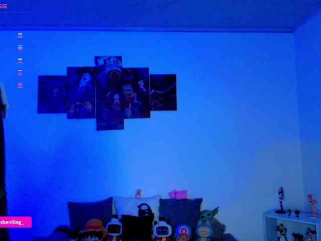 Nicorobin webcam