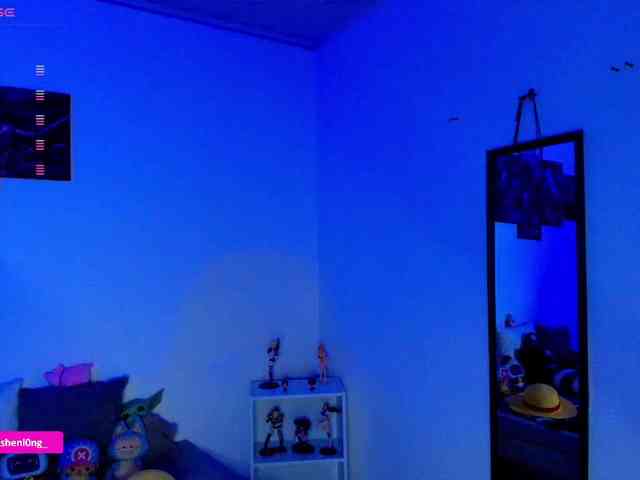 Nicorobin webcam