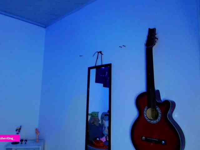 Nicorobin webcam