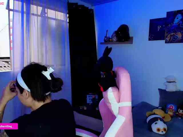 Nicorobin webcam