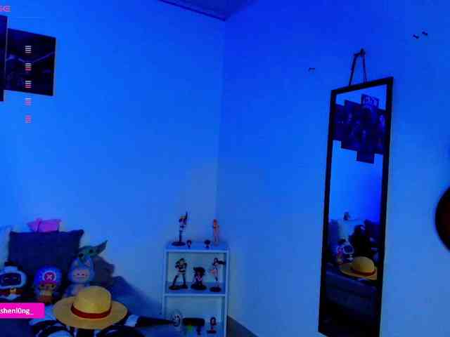 Nicorobin webcam