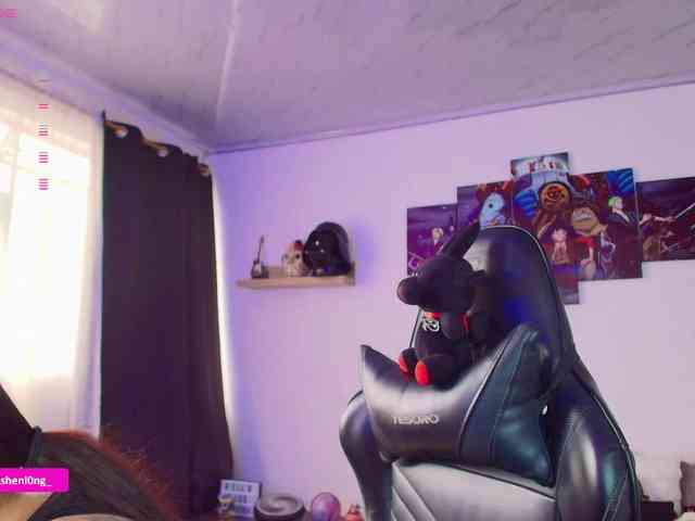 Nicorobin webcam