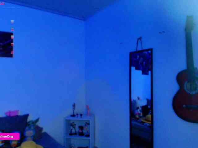 Nicorobin webcam