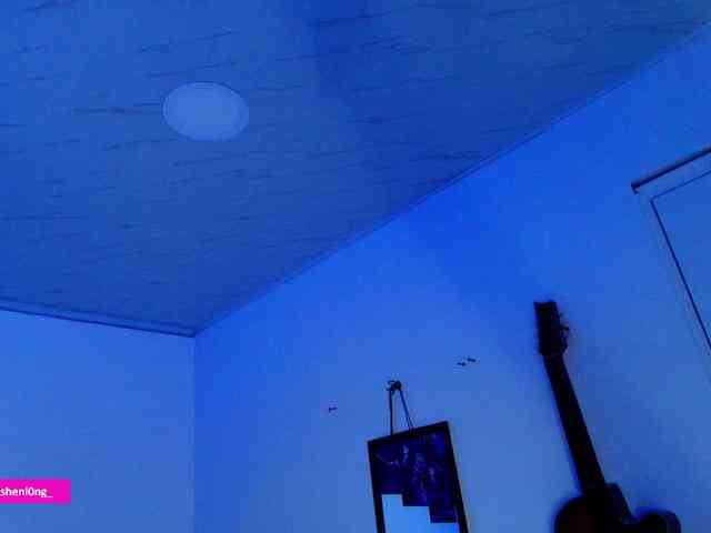 Nicorobin webcam