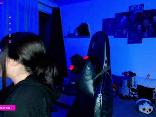 Nicorobin webcam