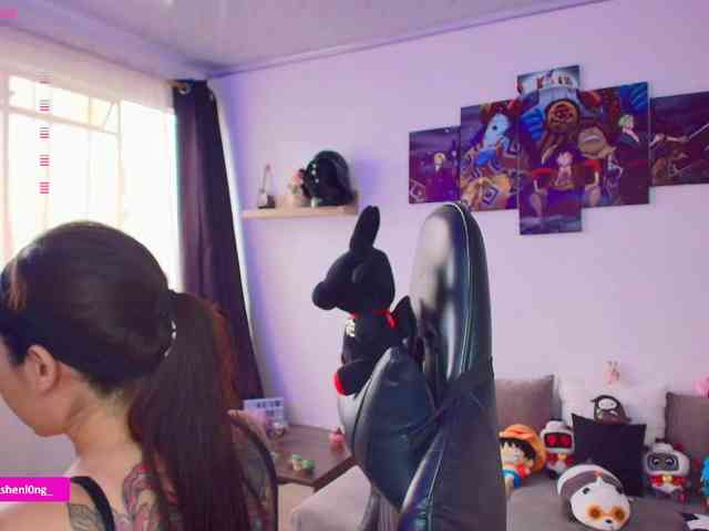 Nicorobin webcam