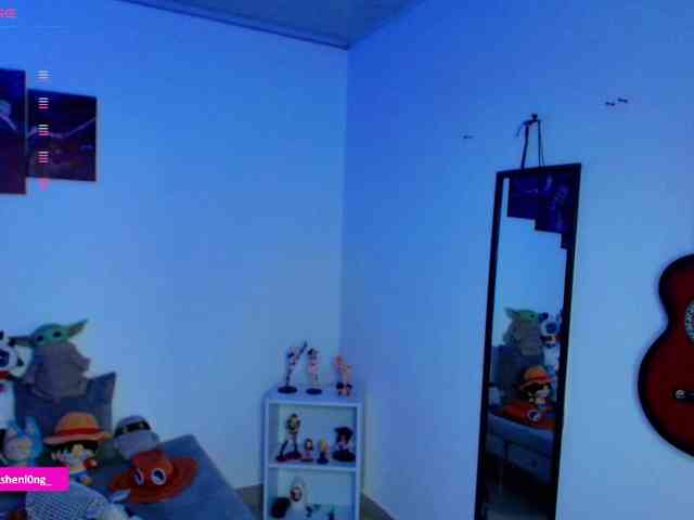 Nicorobin webcam