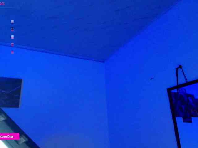 Nicorobin webcam