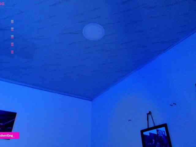 Nicorobin webcam