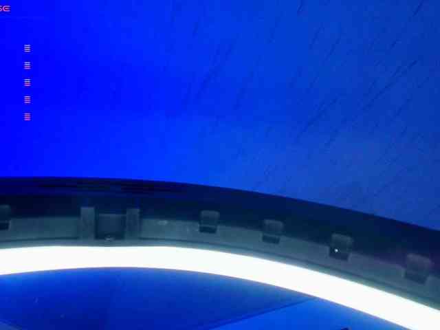 Nicorobin webcam
