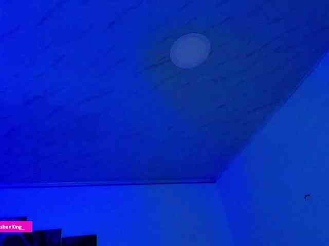 Nicorobin webcam