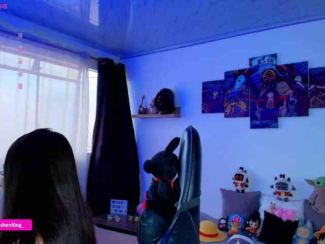 Nicorobin webcam