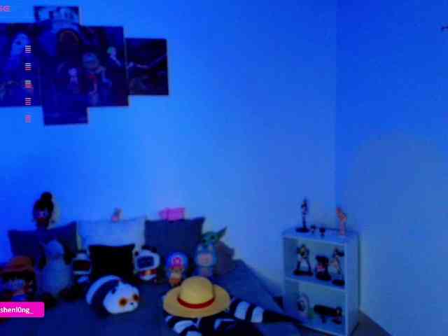 Nicorobin webcam