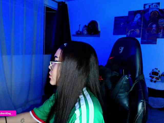 Nicorobin webcam