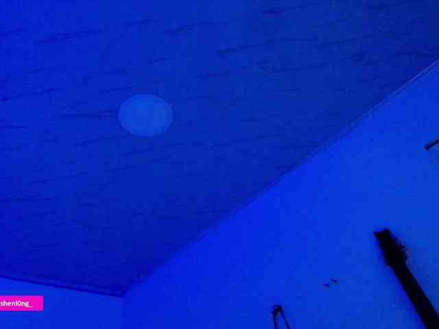 Nicorobin webcam