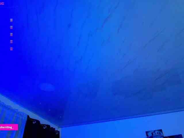 Nicorobin webcam