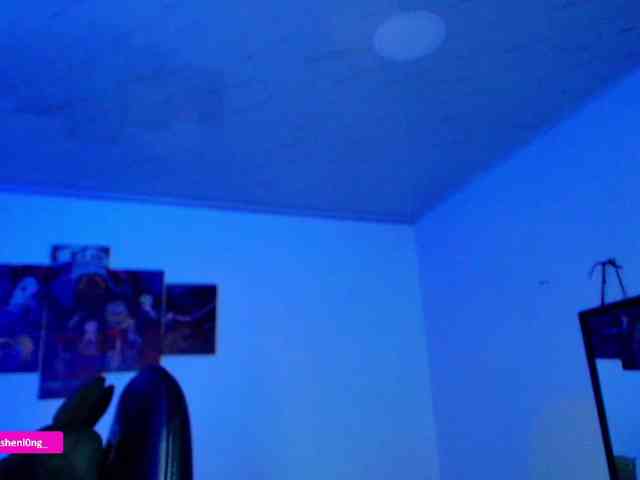 Nicorobin webcam