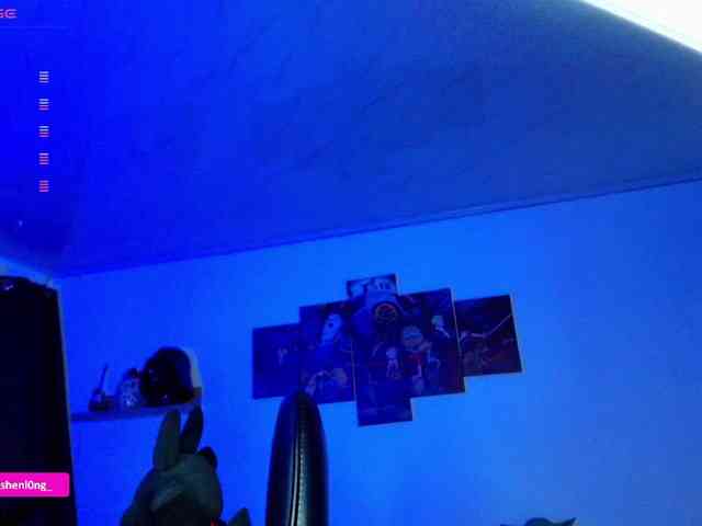 Nicorobin webcam