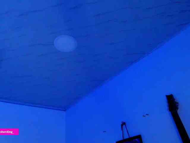 Nicorobin webcam