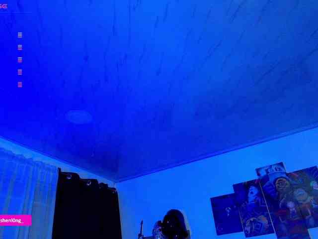 Nicorobin webcam
