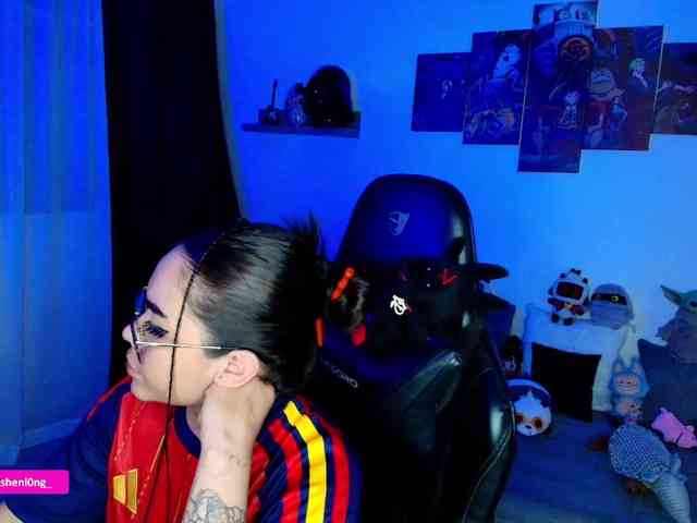 Nicorobin webcam