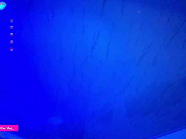 Nicorobin webcam