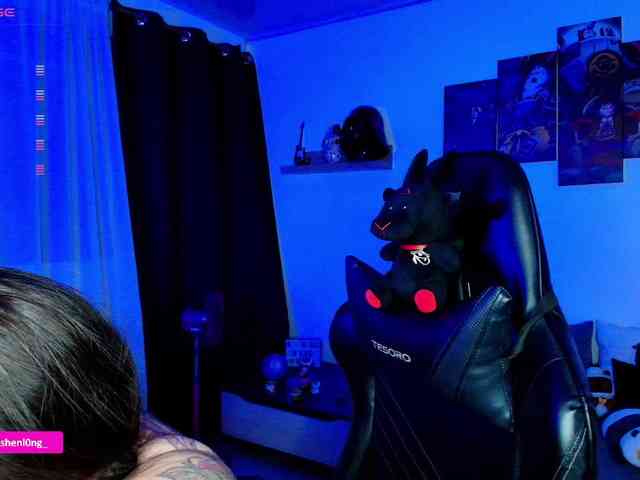 Nicorobin webcam