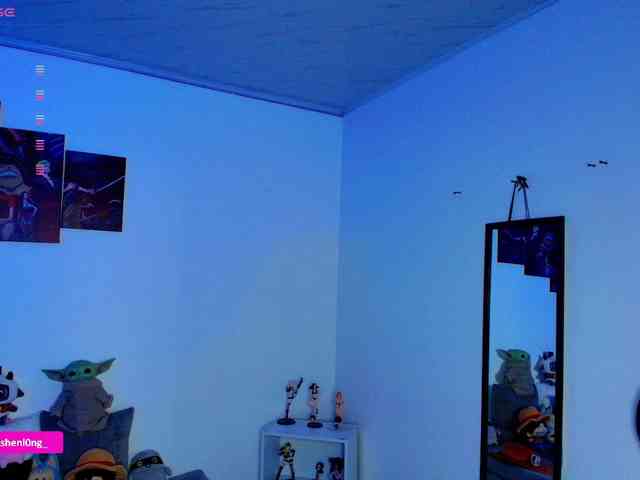 Nicorobin webcam