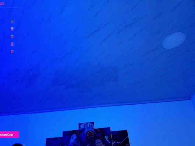 Nicorobin webcam