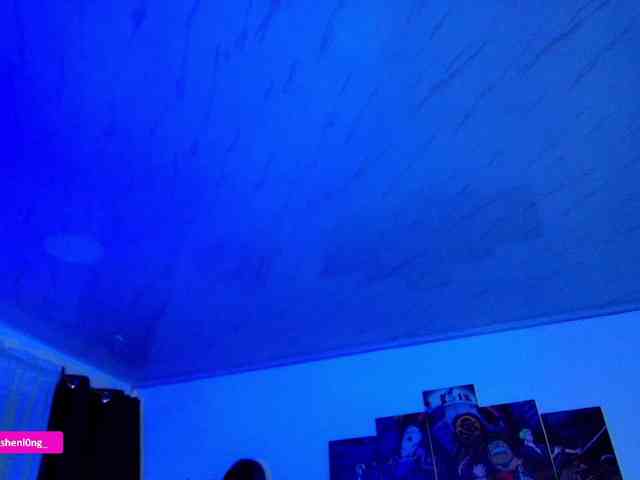 Nicorobin webcam
