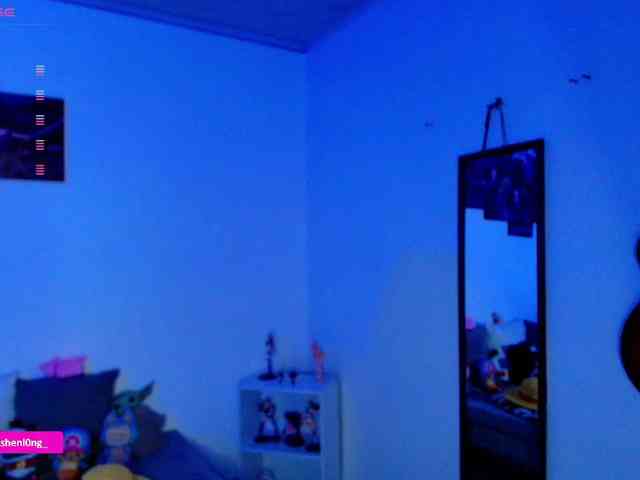 Nicorobin webcam