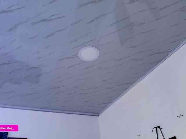 Nicorobin webcam