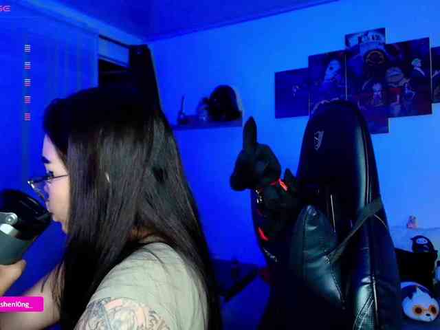 Nicorobin webcam