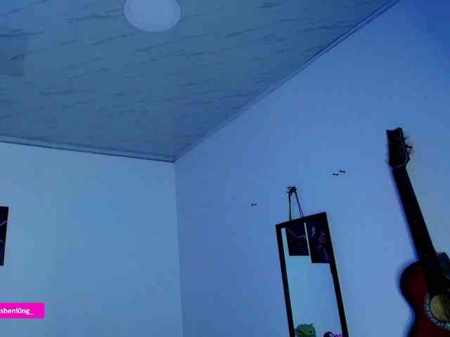 Nicorobin webcam