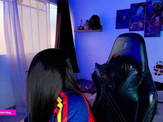 Nicorobin webcam