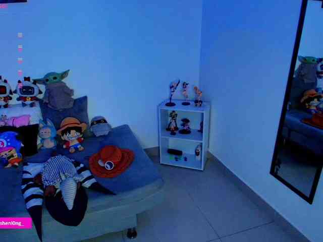 Nicorobin webcam