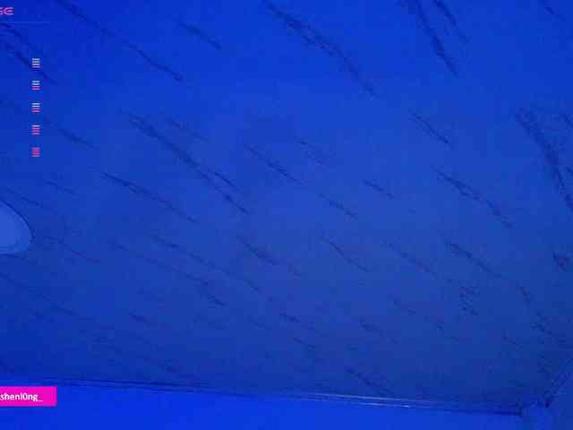 Nicorobin webcam