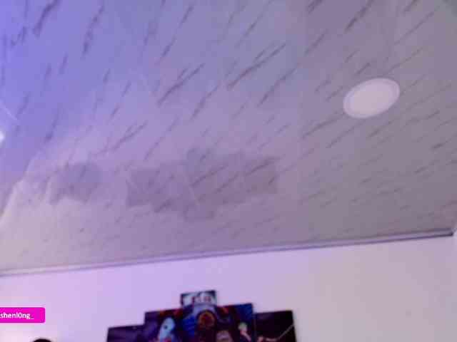 Nicorobin webcam