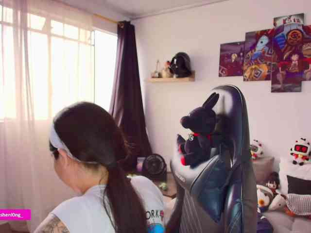 Nicorobin webcam